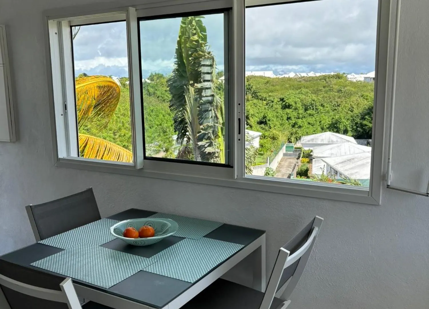 Bois Patate Location Apartment Sainte-Anne  Guadeloupe