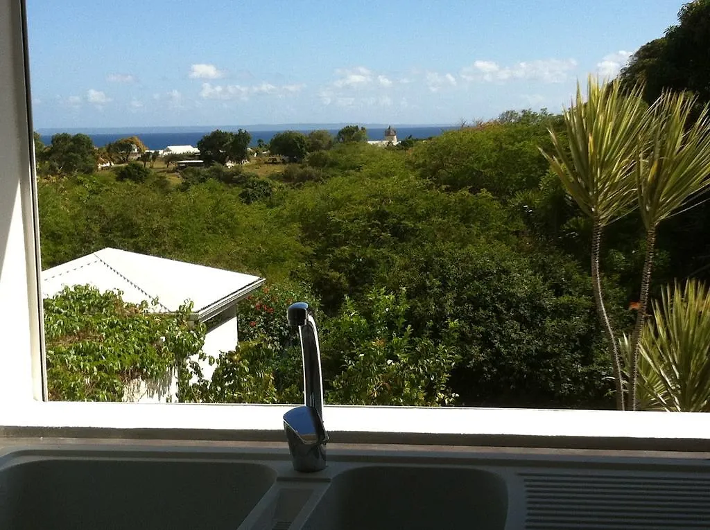 Bois Patate Location Appartement Sainte-Anne